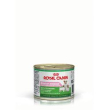 rc starter mousse um 195gr cane minsan 931068896