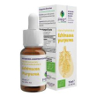 psc echinacea purpurea gtt15ml