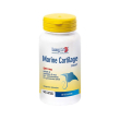 longlife marine cart e 90cps