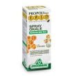 epid propoli spray orale con erisimo 15 ml