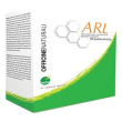 arl 20bust