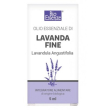 alcea olio essenziale alimentare - lavanda fine
