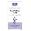 lavanda fine oe bio 10ml alcea