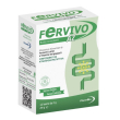 fervivo az 12bust