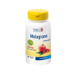 longlife melograno 40% 90cps