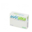 maxiflor 20bust