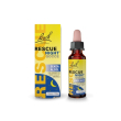 rescue night senza alcol 10ml