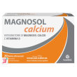 magnosol calcium polvere effervescente 20 bustine