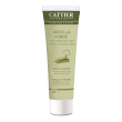 argilla verde pront mini 100ml 100 ml