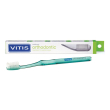 vitis spazz.ortho