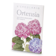 ortensia sacchetto prof casset