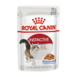 fhn wet instinctive jelly 85g