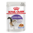 fhn wet sterilised jelly 85g