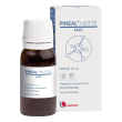 pineal notte fast gocce 10ml