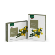 tarassaco 20ab 15ml