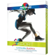master aid cavigliera elastica - taglia 2 (m)