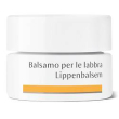 dr hauschka bals labbra 4,5g