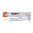 ddfarma silifort pasta os siringa 30 g