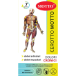 motto cerotto 2 pezzi