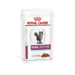 diet renal cat 12x85gr pesce bustine minsan 934736695