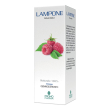 promopharma lampone gemmoderivato gocce 50 ml