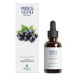 ribes nero gd 50ml