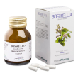 boswellia 50 capsule pz