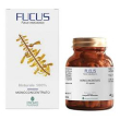 fucus 50cps