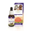 aggressive 30ml