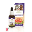 aggressive 30 ml