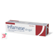 inflamase idrogel 100 ml