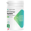 pt energy system 30 compresse