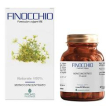 finocchio 50cps