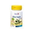 longlife olivo foglia 60cps