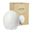 etereal flora diff ambiente