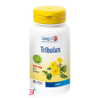 longlife tribulus terrestris 90 capsule
