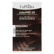 euphidra color - pro xd 550 mogano