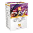 forza20 12 bust.