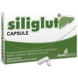 siliglut 20cps