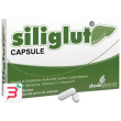 siliglut 20 capsule