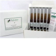restructura siero antir 5ml 12