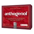 opc masquelier anthogenol 90 capsule pz