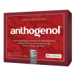 opc masquelier anthogenol