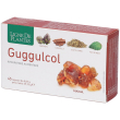 guggulcol 45 capsule pz
