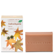 l'erbolario - ambraliquida sapone confezione 100 gr