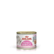 rc baby cat instinctive um 195gr minsan 938820216