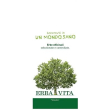 argilla ve super ventilata 1kg