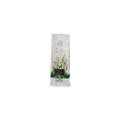 passiflora sommità taglio tisana 1 kg