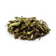 erba vita the bianco pai mu than integratore antiossidante 100 g