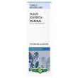 fucus quercia marina estr fl50